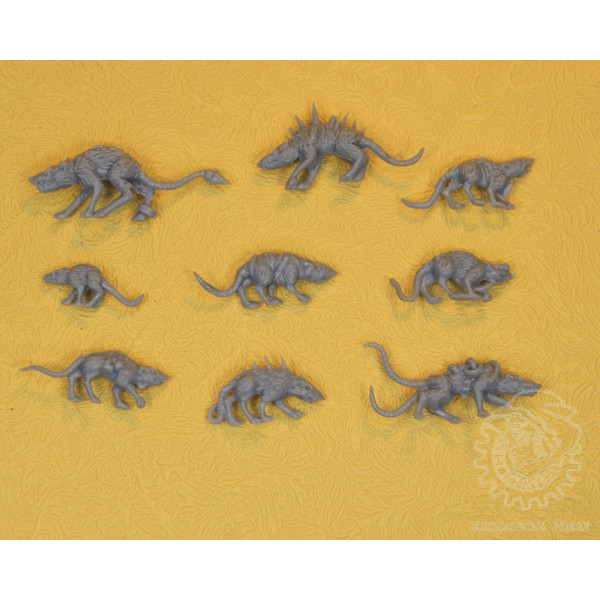 Small Rat Swarm